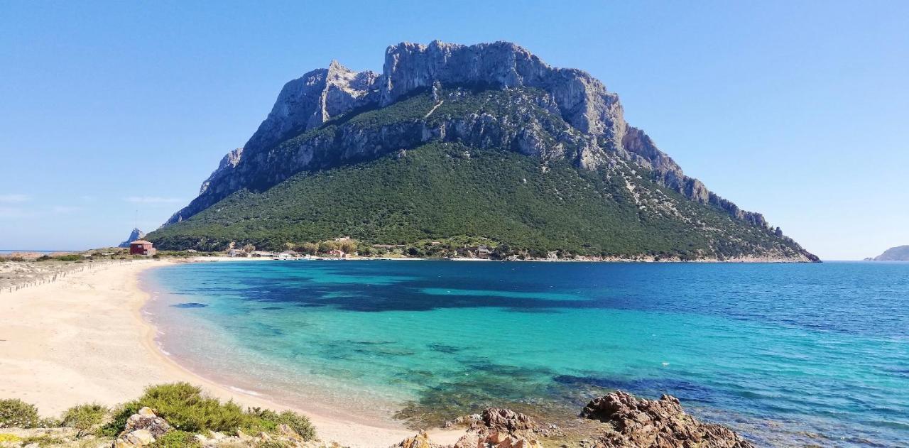Iss Travel, Citai Panoramic Apartments - 1,5 Km From The Beach San Teodoro  Extérieur photo